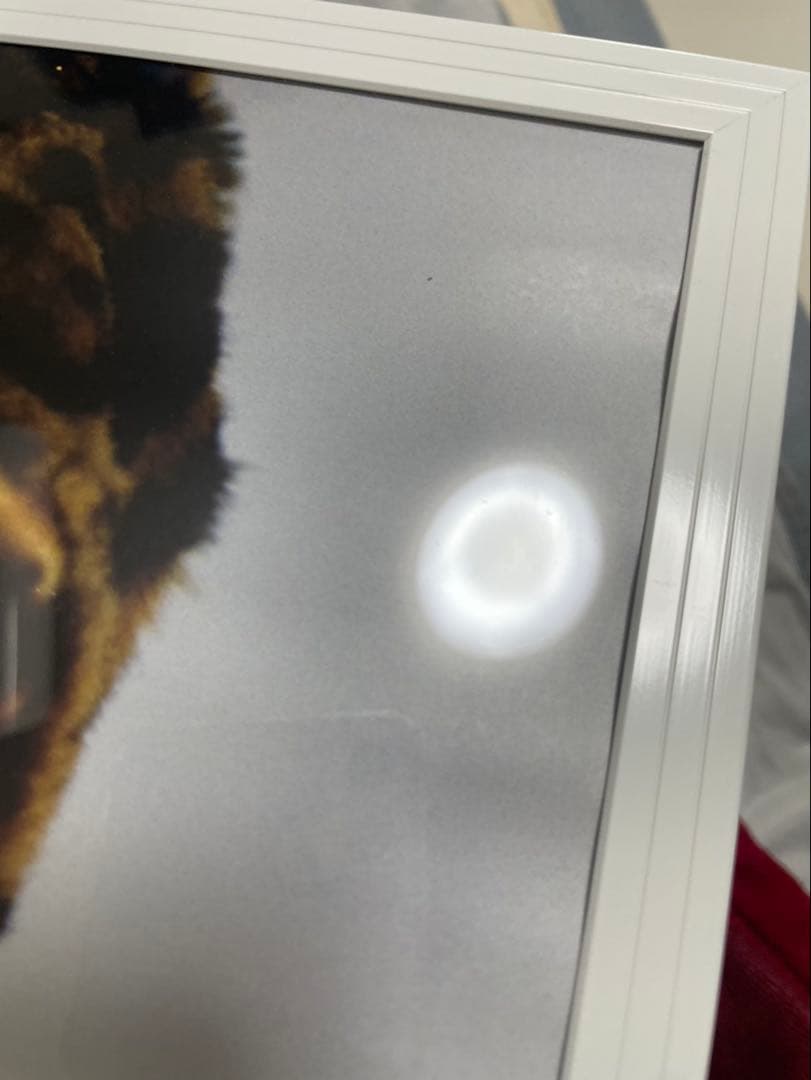 シュプリーム ケイトモスポスター