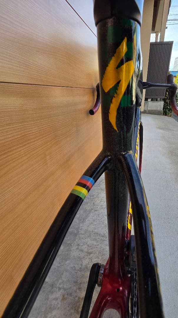 Specialized Tarmac SL6 カスタムカラー＋SRAM AXS