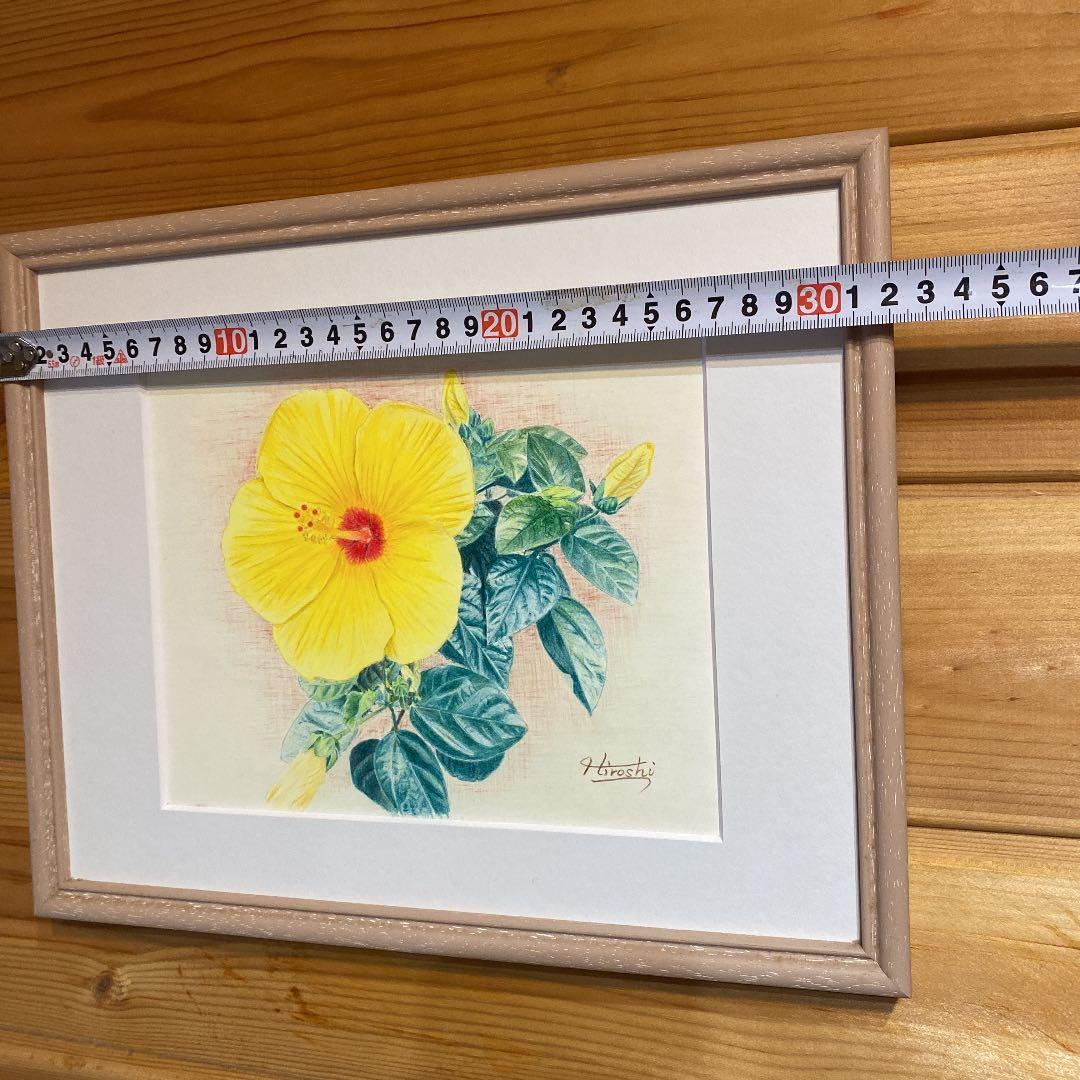 幸せの黄色いハイビスカス(色鉛筆画)