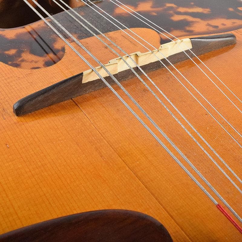 Rokutaro Nakade　中出六太郎　マンドリン　A70　M　R9222B