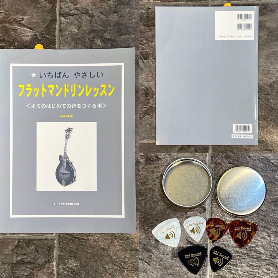 【新品未使用】フラットマンドリン ARIAアリアAM-20E 初心者11点セット