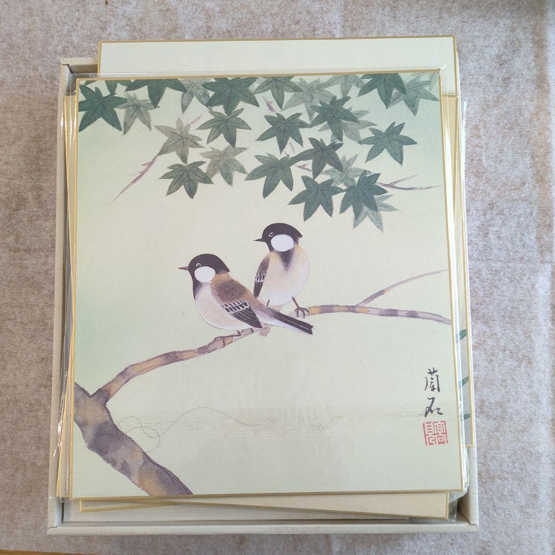 鳥と葉の水彩画 掛軸 鳥と葉の水彩画 掛軸 鳥と葉の水彩画 掛軸