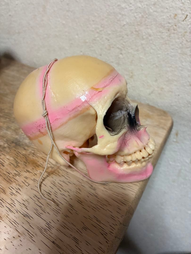 ビンテージ 60s スカル 髑髏 骸骨 死神 ハロウィン ホラー レトロ