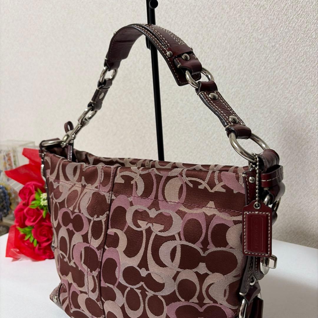 COACH curly 13980 red×pink signature BAG