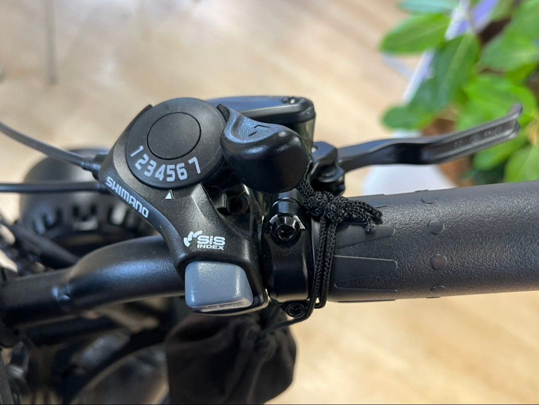 【シャム】COSWHEEL MIRAI GT電動アシスト自転車