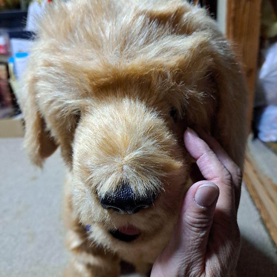 夢いぬDX　ゴールデンレトリバー　希少　BIG　癒し