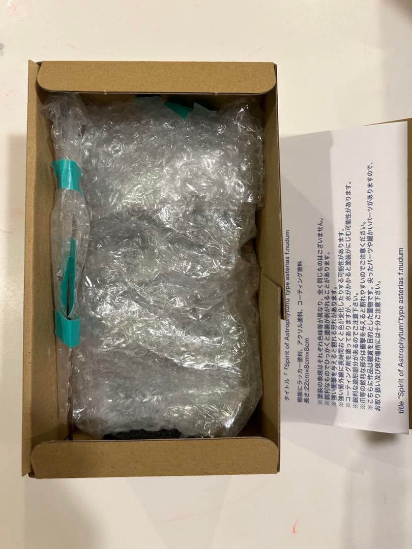 OZWRT Spirit of Astrophytum 『兜丸の精霊』