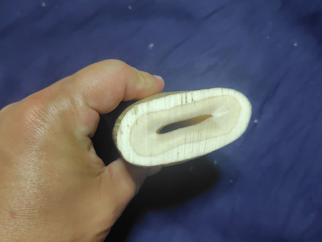 マッコウクジラの歯2本