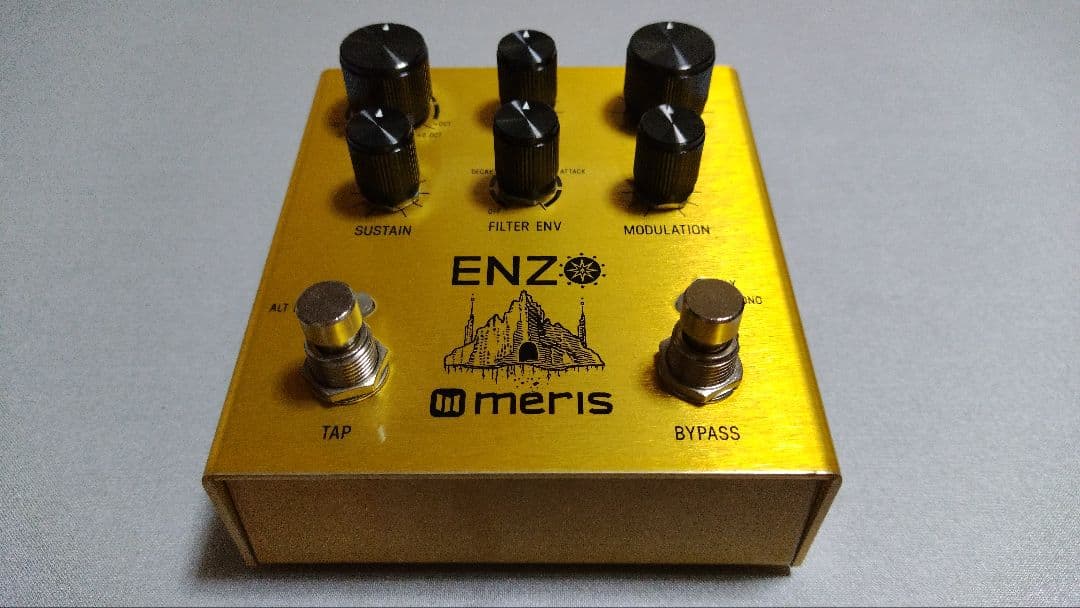 ギター meris Enzo