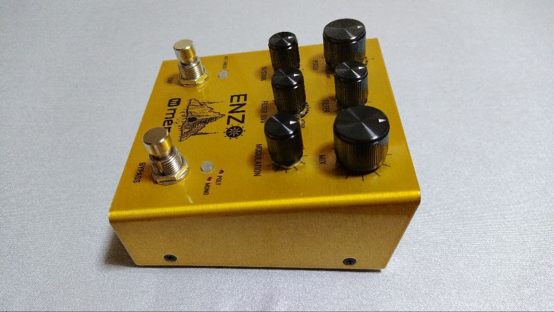 ギター meris Enzo