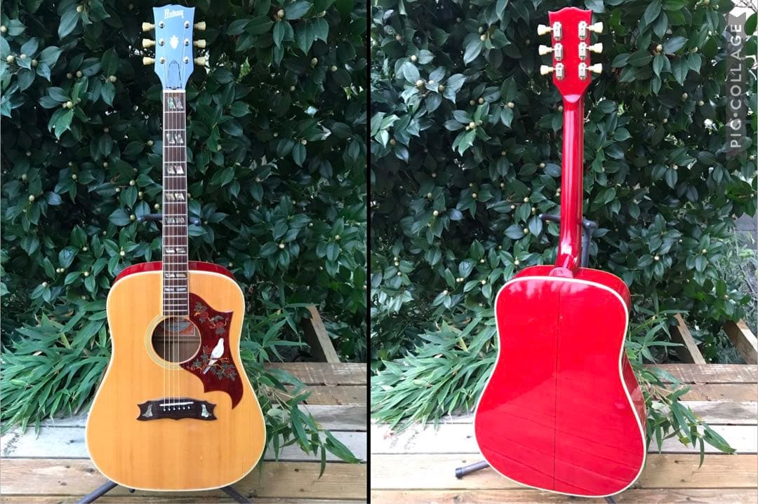 Burny BD-85 DOVE バーニー - メルカリ