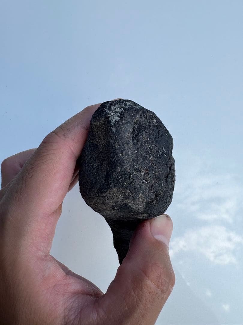 アロサウルス 化石 フットクロウ 恐竜 - メルカリ