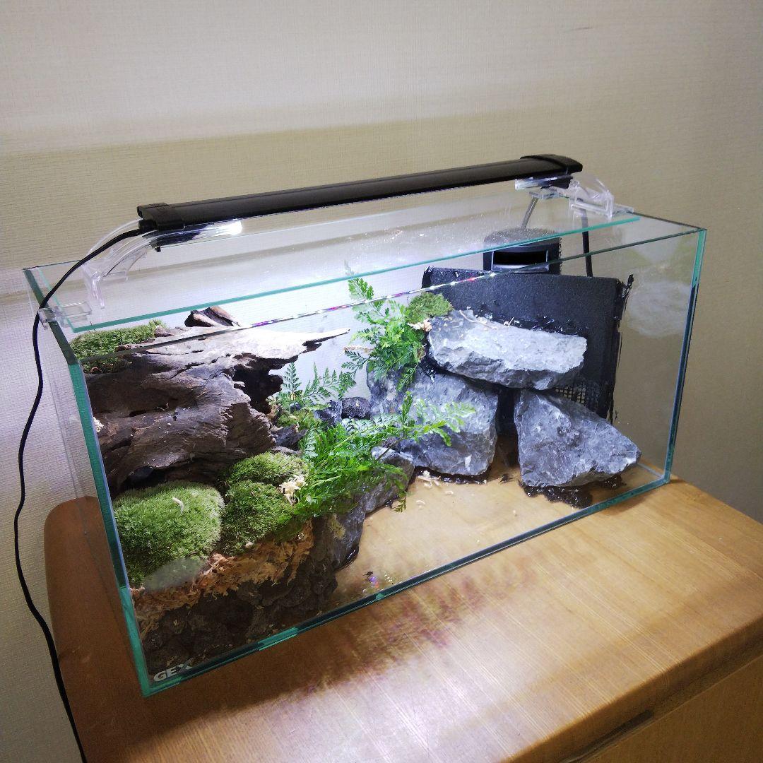 受注生産】滝のあるアクアテラリウム イモリウム 苔テラリウム アクア