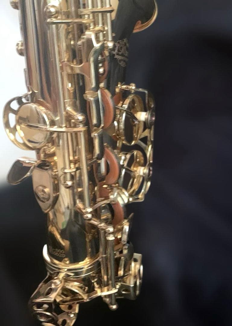 美品★アルトサックス　J.Michael AL-500 お手入れセットケース付き