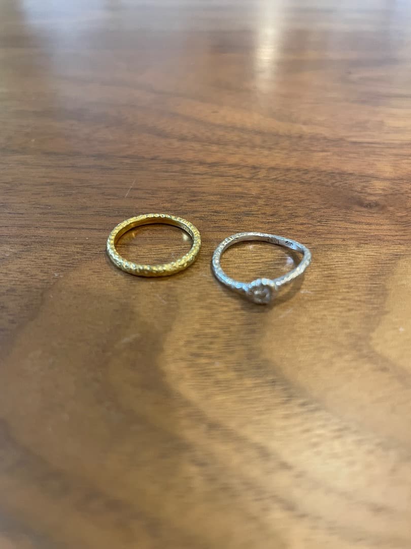 さおり　2点Studio waterfall バーニーズ購入