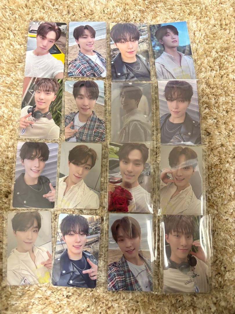 seventeen 来場者限定 特典 ディノ トレカ 16種セット SEVENTEEN