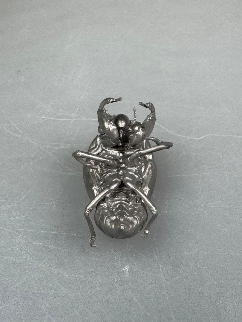 蝉 蝉の抜け殻 セミ オブジェ 虫好き 金属製 標本