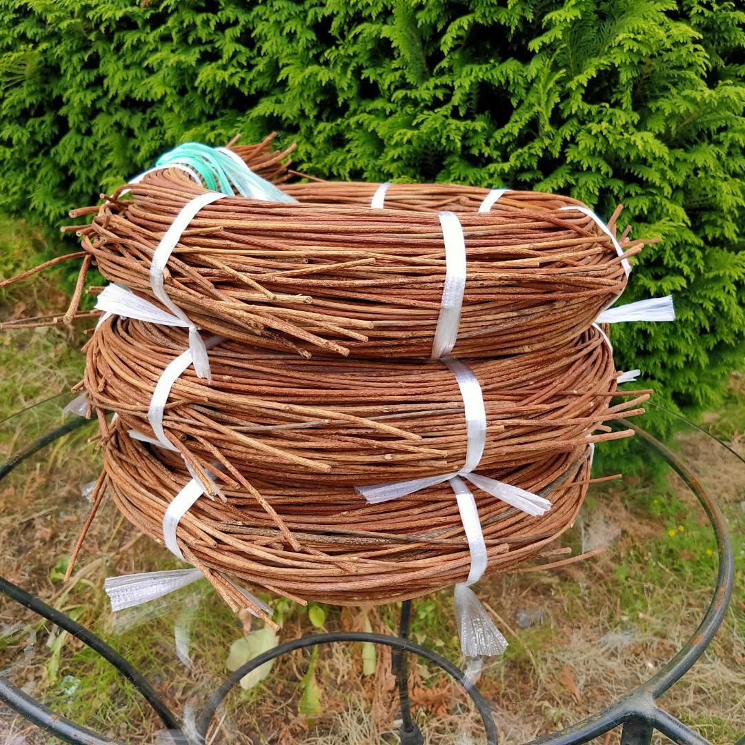 みっくん　青森県岩木山採取　あけび蔓　150cm～　3kg