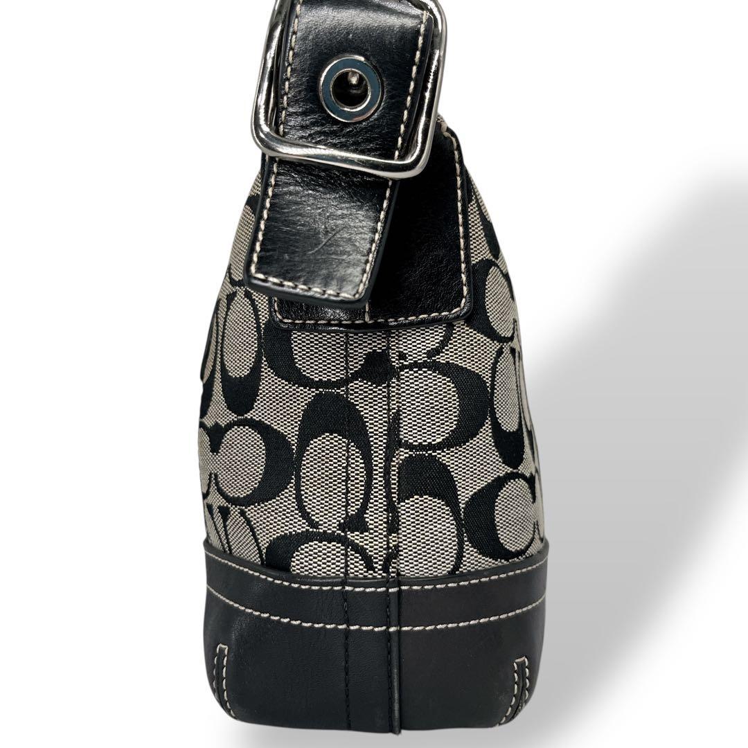 バッグ Y2K COACH Signature Tassel Shoulder Bag