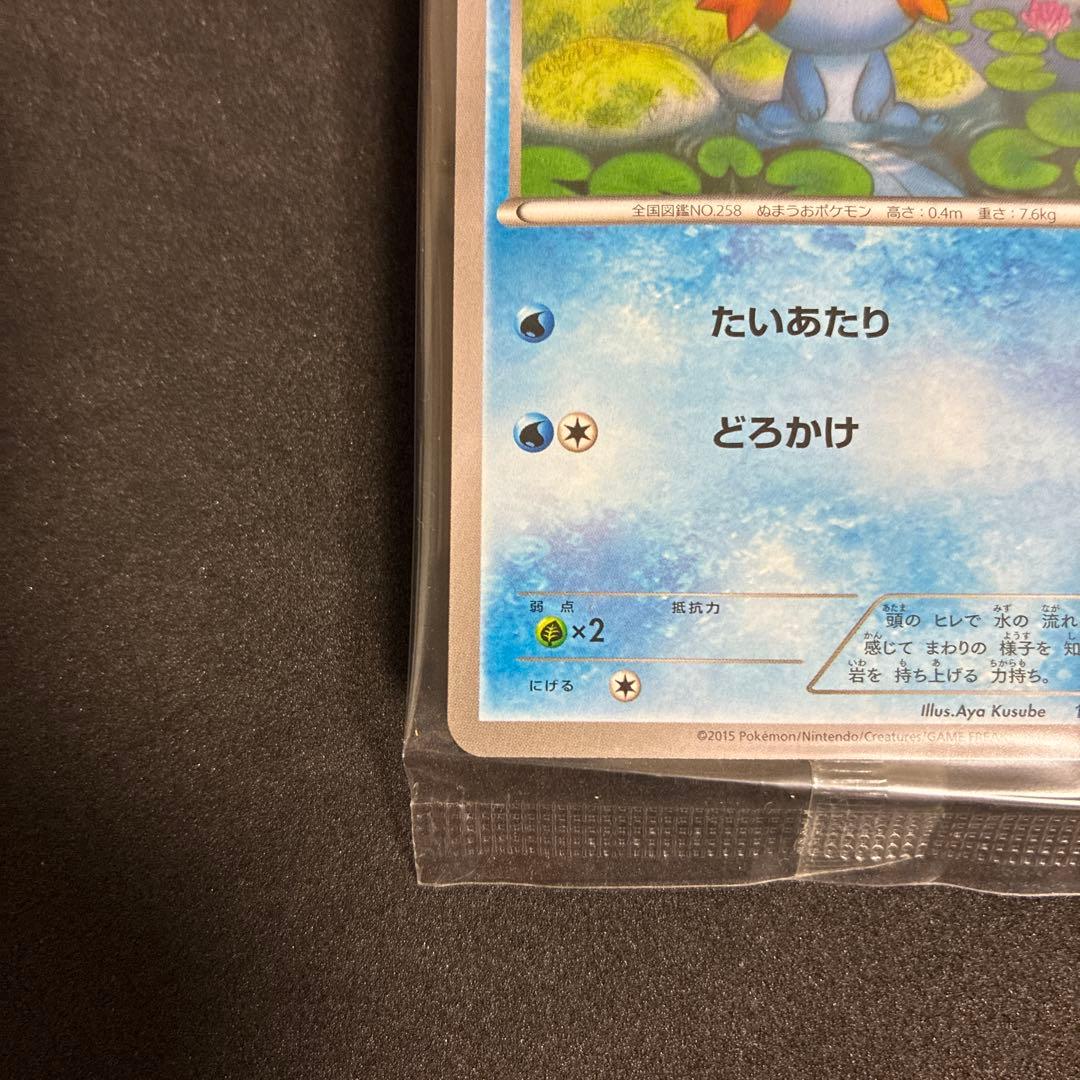 ポケモンカード ミズゴロウ プロモ 109/XY-P 2015 未開封 コンビニ