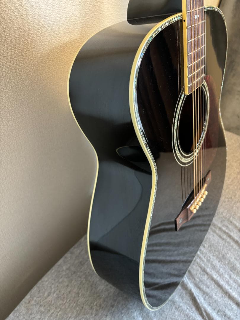 Aria Dreadnought AF-720BK ハードケース付き - メルカリ