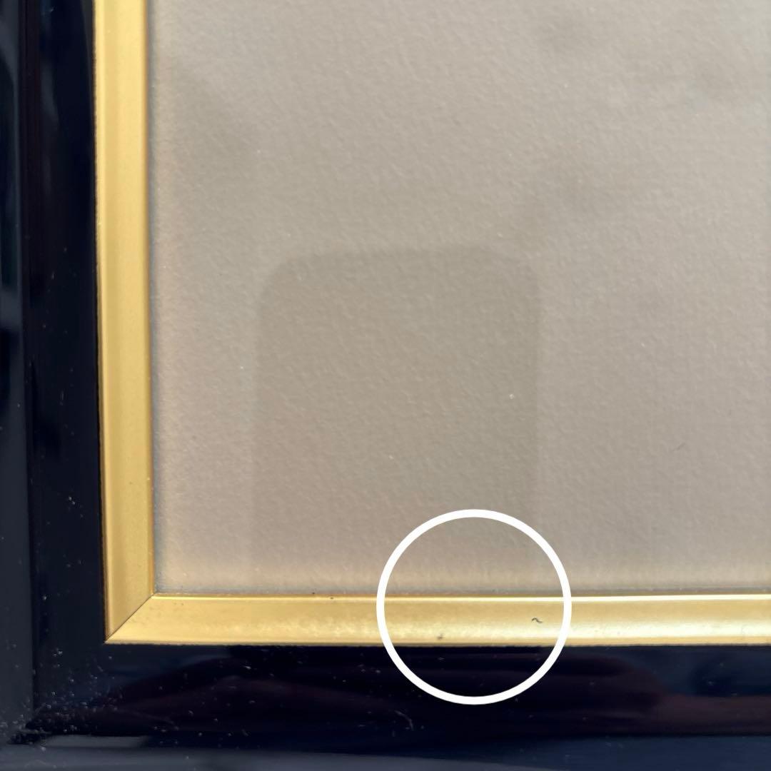 Seiji Fujishiro レフグラフ サイン入り【線香花火】 藤城清治