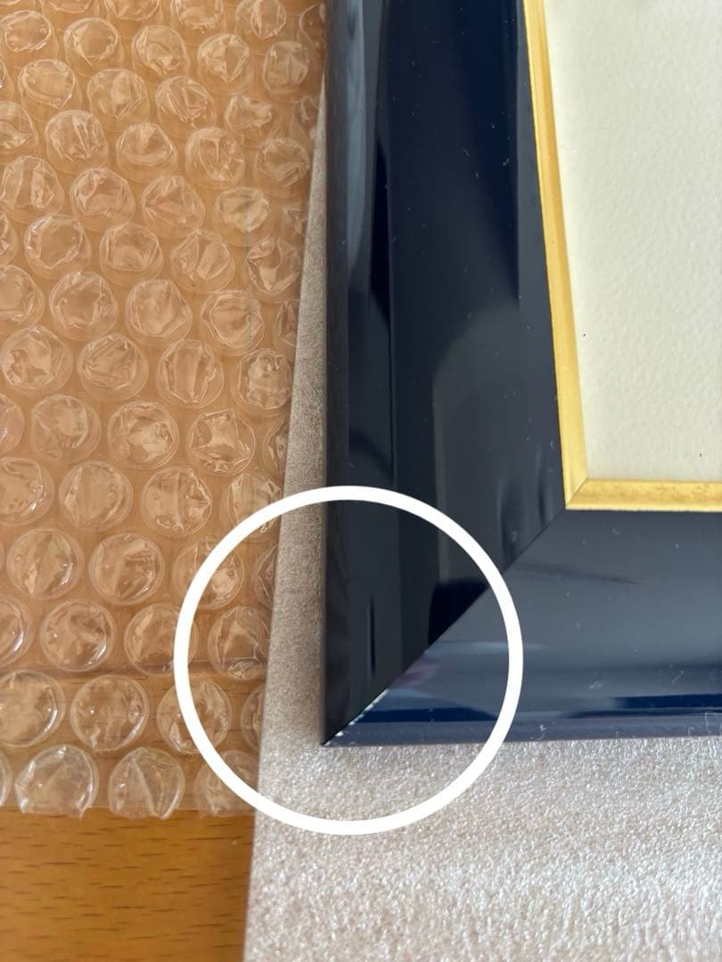 Seiji Fujishiro レフグラフ サイン入り【線香花火】 藤城清治