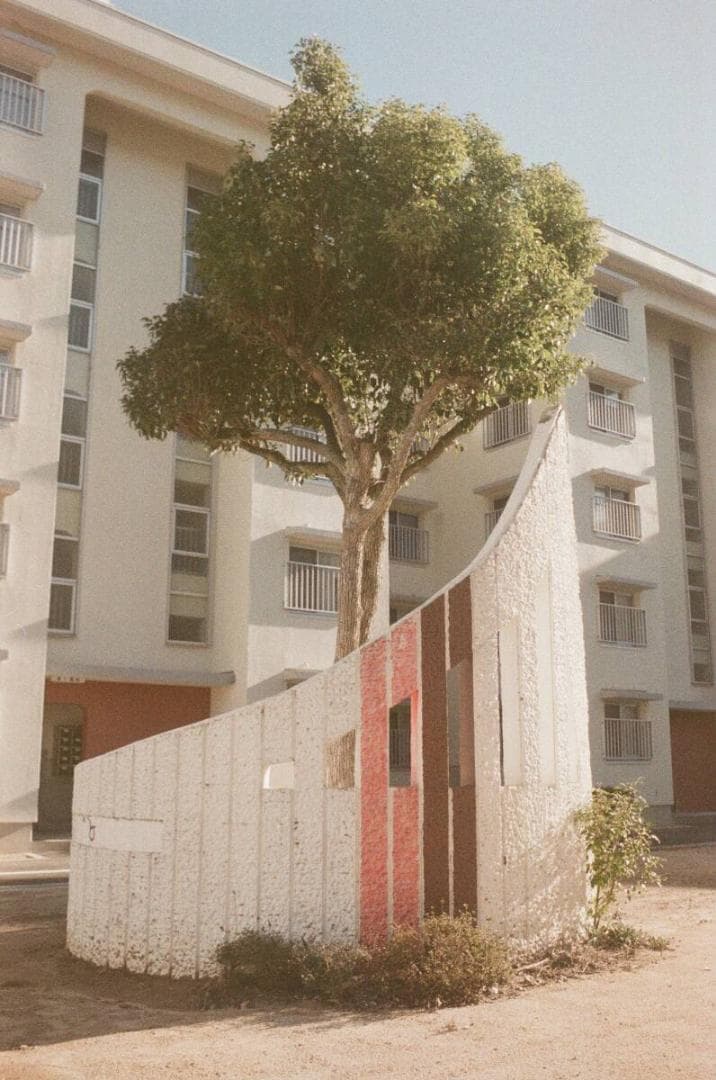 作例あり☆フイルム実写OK!／ペンタックスSP＋レンズSuper-Takumar