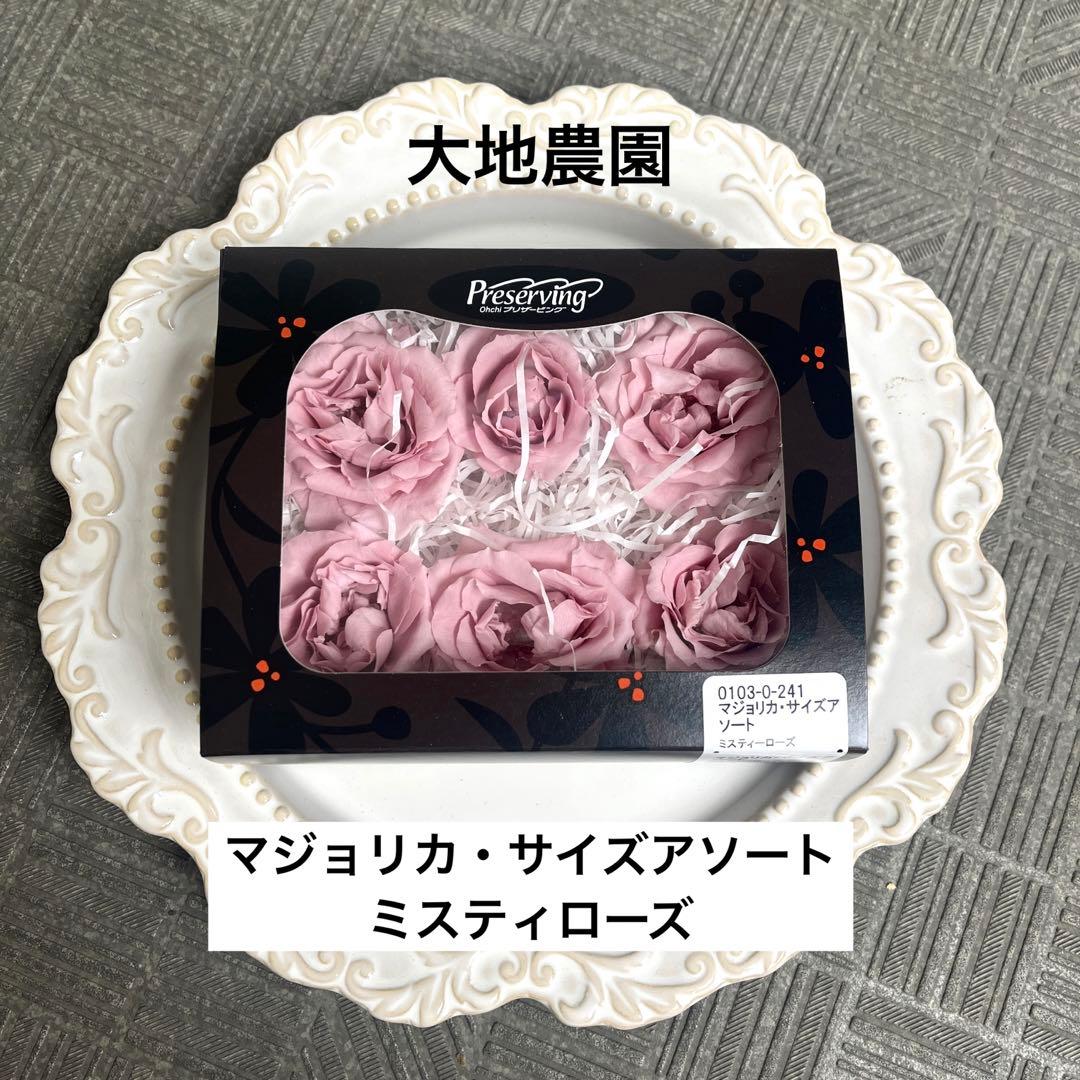 ジュビロ磐田 2025 3rdユニフォーム 川崎一輝/#2 【新品、未開封品】