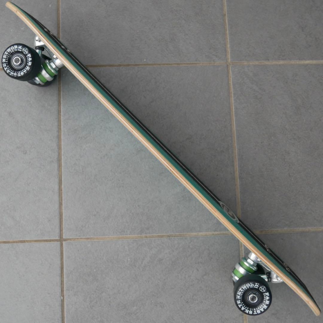 【美品】ポラライザーFESNカスタム