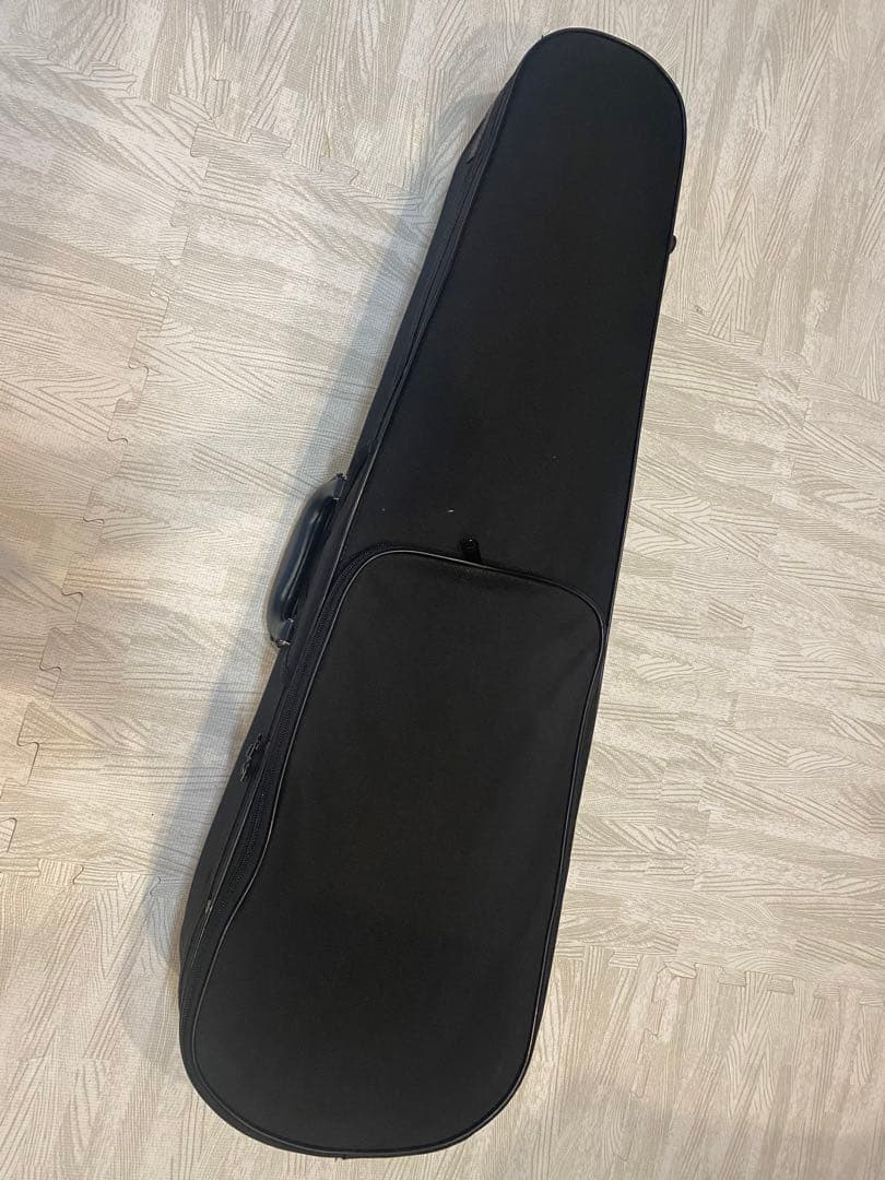 ？*様 定価約4万　carlo giordano EV-202 交換弦つき