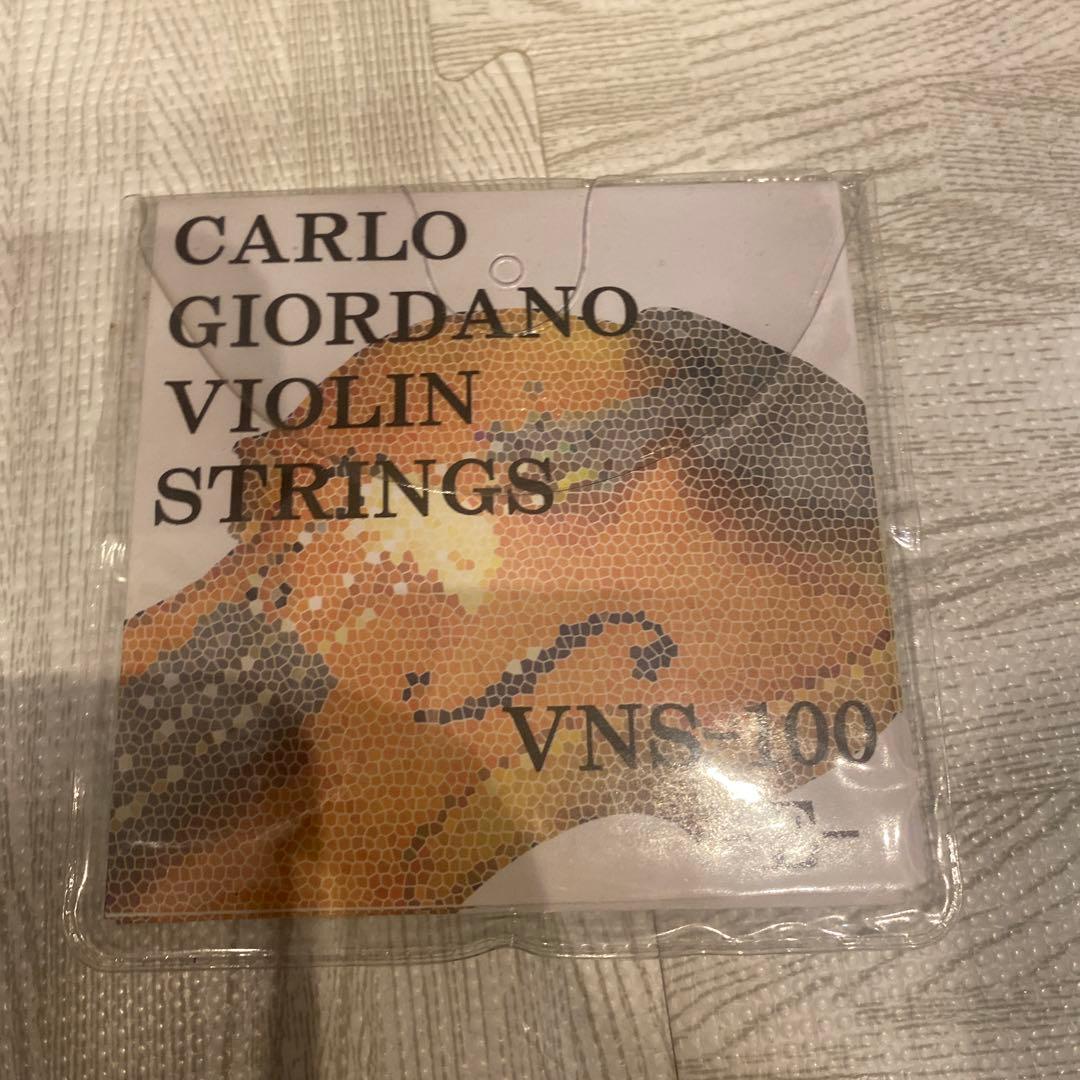 ？*様 定価約4万　carlo giordano EV-202 交換弦つき