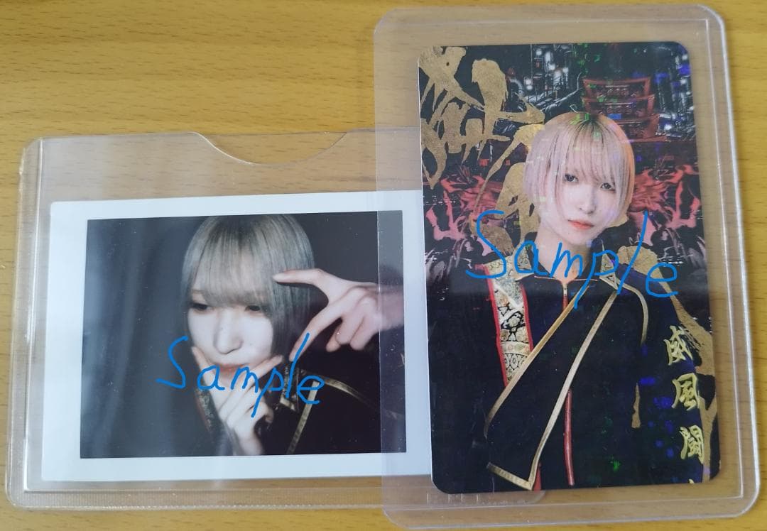 滝沢ひなの チェキ＆トレカ セット ネオジャポニズム NEO JAPONISM NEO