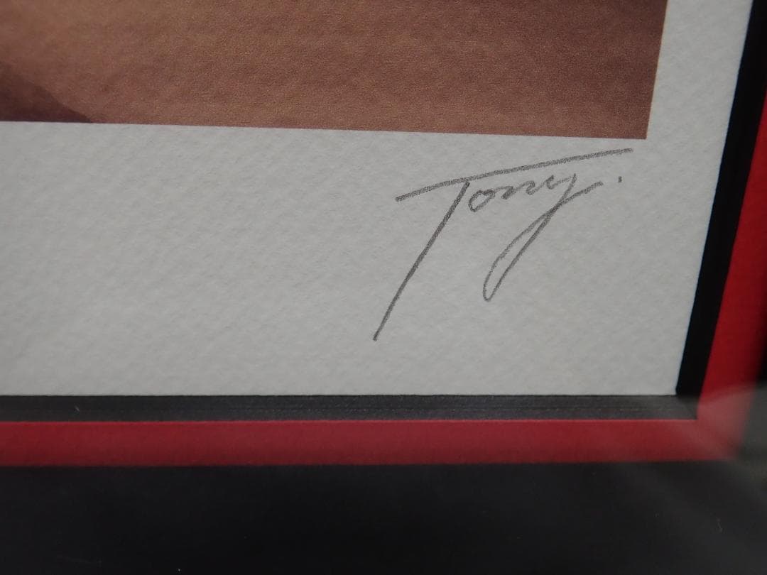 ㉔新品・保証書付 Tony トニー「ハイカラ」ミクスドメディア アールビバン