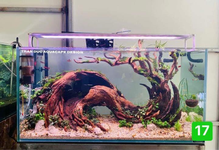 ADA ホーンウッド 流木2 ADA ホーンウッド流木セット