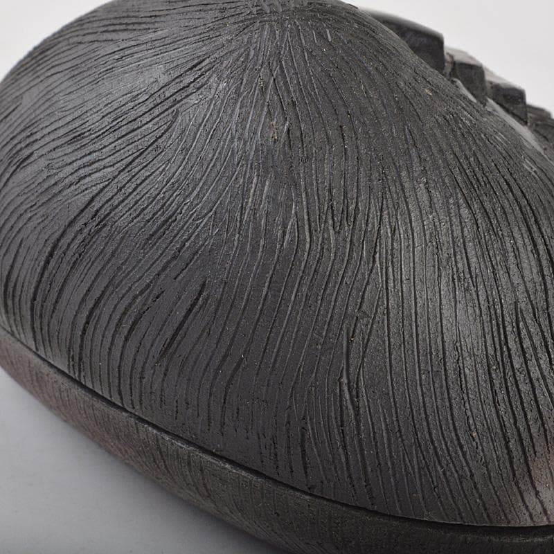 茶道具　香道具　貝形　香合　共箱　V　6541