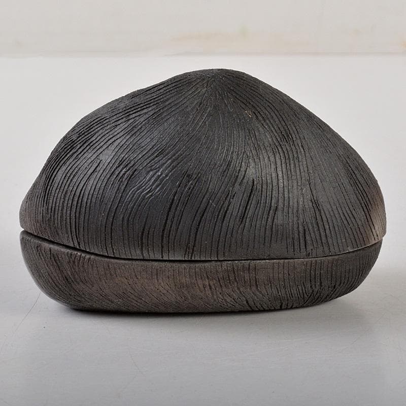 茶道具　香道具　貝形　香合　共箱　V　6541