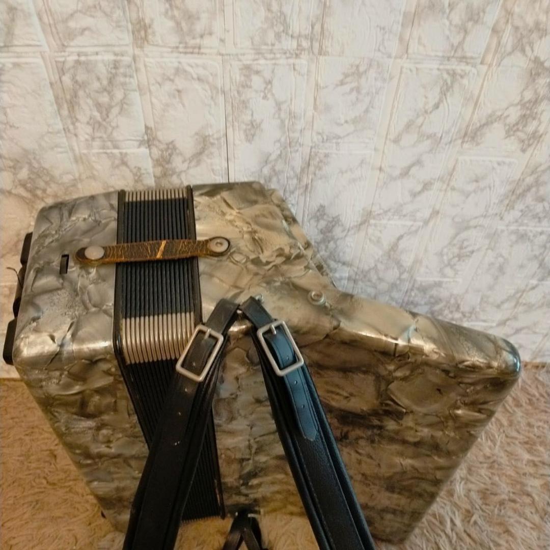 激レア 希少 ドイツ製 スズキ アコーディオン A-34T 定価15万 - メルカリ