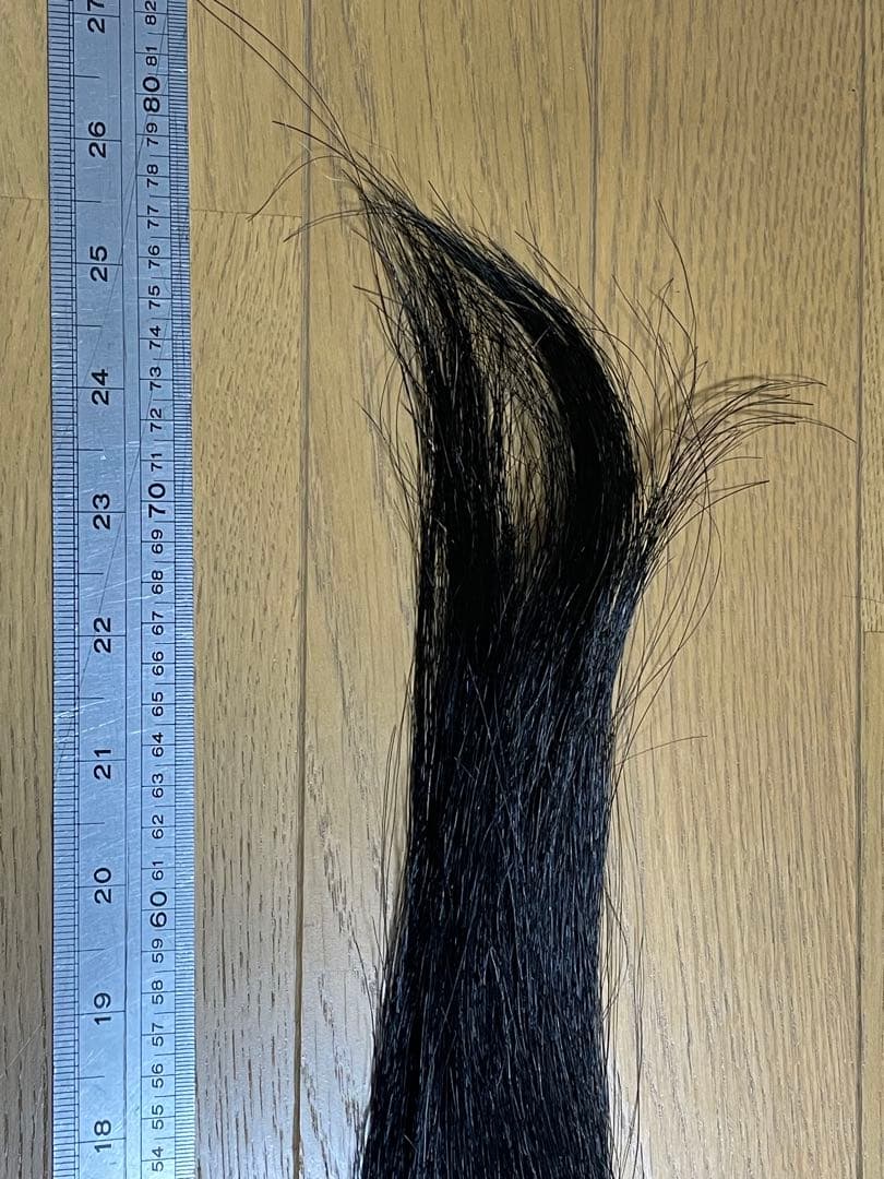 Y 黒染め馬の毛 300g