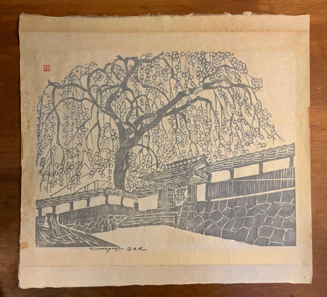 【 真作 大作 】枝垂れ桜　無弟（長谷川富三郎） マクリ 真作 大作 】枝垂れ桜 無弟（長谷川富三郎） マクリ 【公式通販】