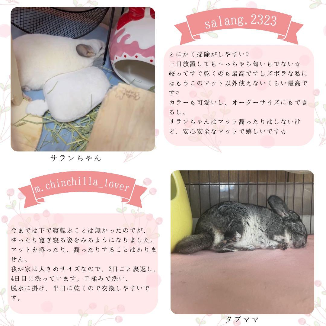 海外アンチピルマット 商品紹介ぺージ