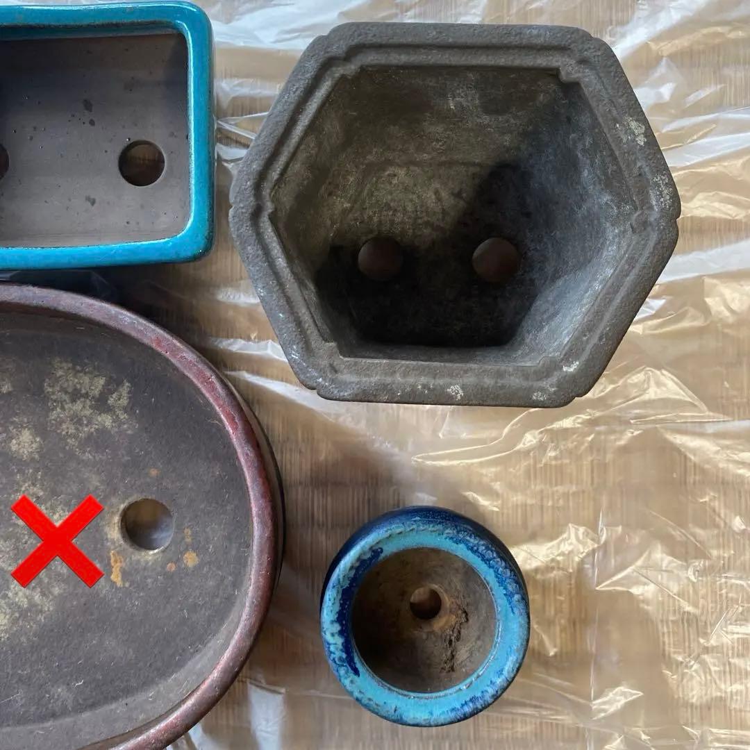 陶翠 緑寿庵 盆栽鉢 小品盆栽鉢 (B)〜(D) (A13・14・15)