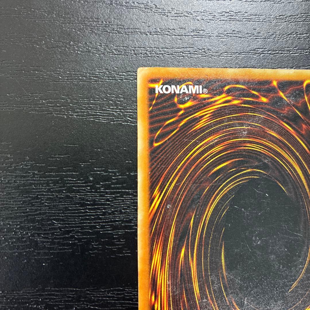 遊戯王　ダークネクロフィア　レリーフ1枚