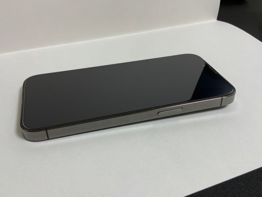 掛軸 田中鈴夫 友禅織 琵琶姫 共箱 染め物 伝統工芸