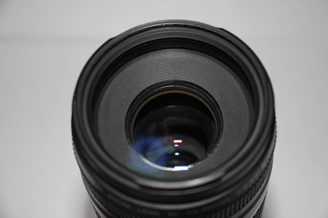 超望遠レンズ/スポーツ観戦や旅行/Canon EF75-300㎜I USM