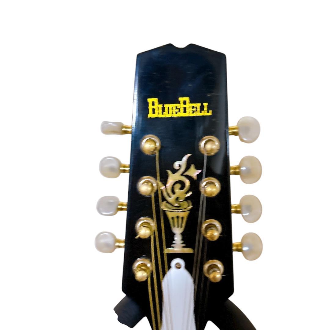 希少1970年代 Bluebell(ブルーベル)フラットマンドリン/ Hケース付