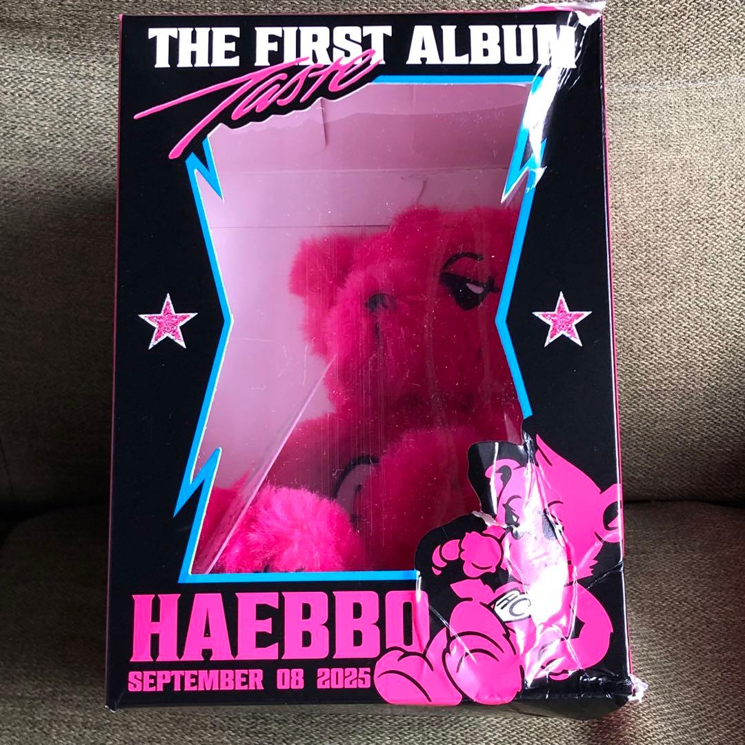 NCT ヘチャン ぬいぐるみ25CM DOLL SET TASTE　MD