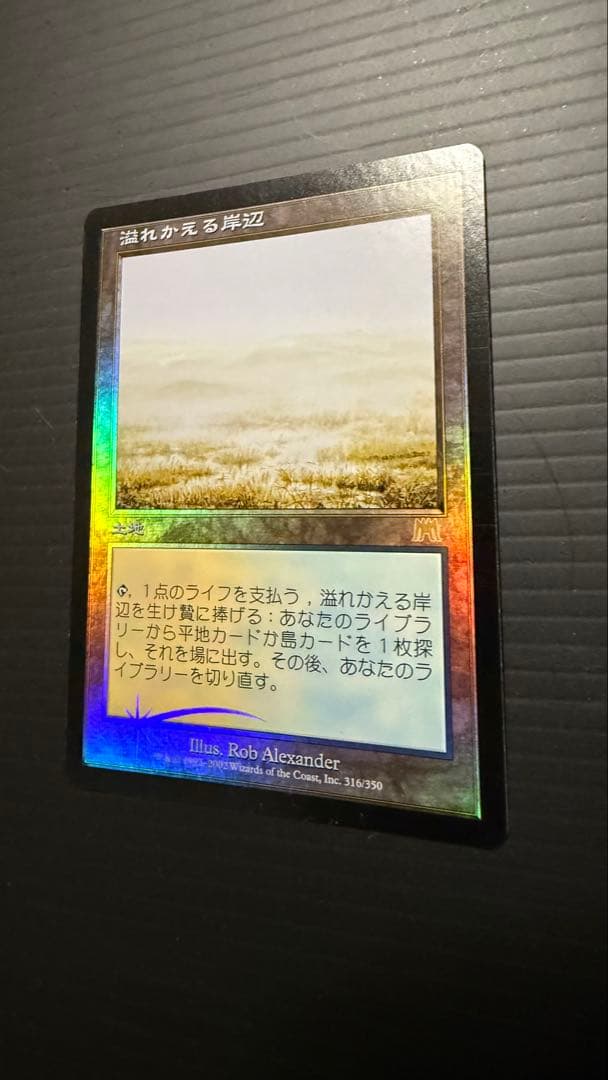 溢れかえる岸辺 日本語版