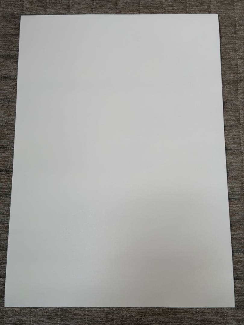 Hi-STANDARD ツアー 新潟 限定 ポスター - メルカリ