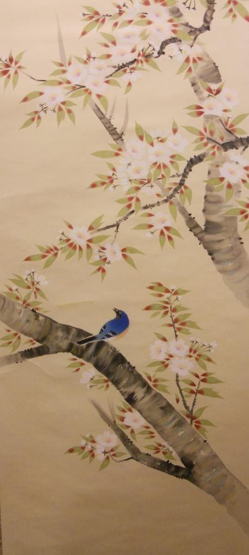 掛け軸 岡野山雪 『 桜花遊鳥 』 絹本 希少 軸装 茶道具 掛軸 です。